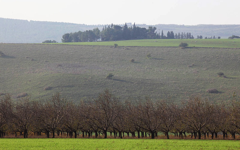 קטלוג מארזים גליליס מוצרי בוטיק מהגליל